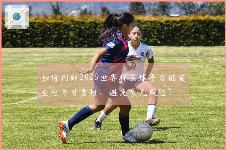 如何判断2026世界杯买球平台的安全性与可靠性，避免常见风险？