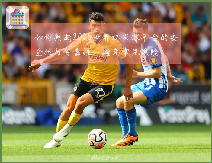 如何判断2026世界杯买球平台的安全性与可靠性，避免常见风险？